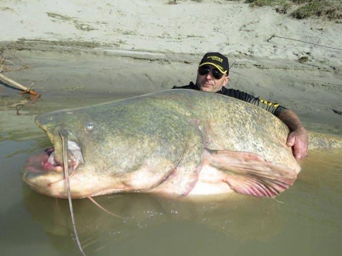 Fisherman catches huge fish – but then he makes an unusual discovery