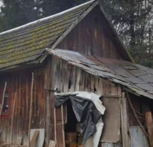 A Heartwarming Gesture: How a Couple Rebuilt a Lonely Grandmother’s Home in Just Five Days