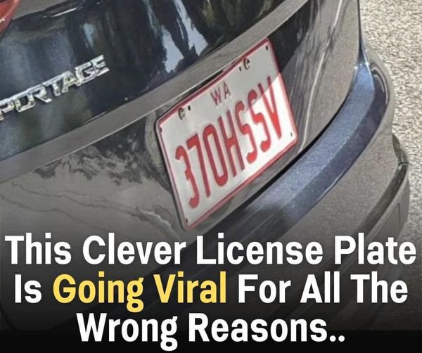 This Clever License Plate Is Making Waves for Surprising Reason