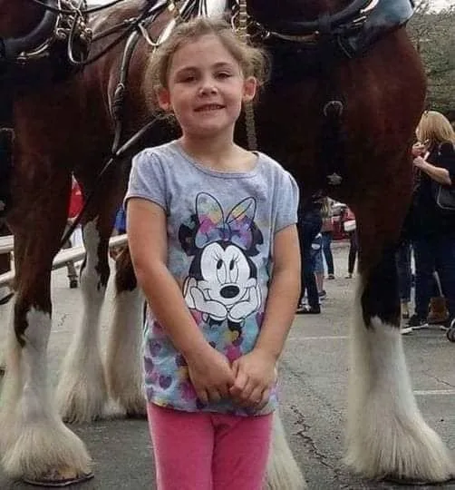 Dad photographs daughter in front of giant horse, looks closer and bursts out laughing