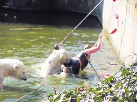 A 32-year-old woman who jumped into a polar bear enclosure at the Berlin Zoo was attacked by a polar bear