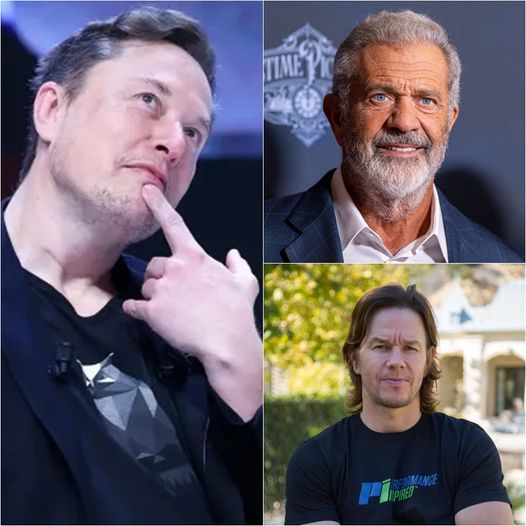 Elon Musk shocks Hollywood with a HUGE investment in Mel Gibson and Mark Wahlberg’s ‘Un-Woke’ studio