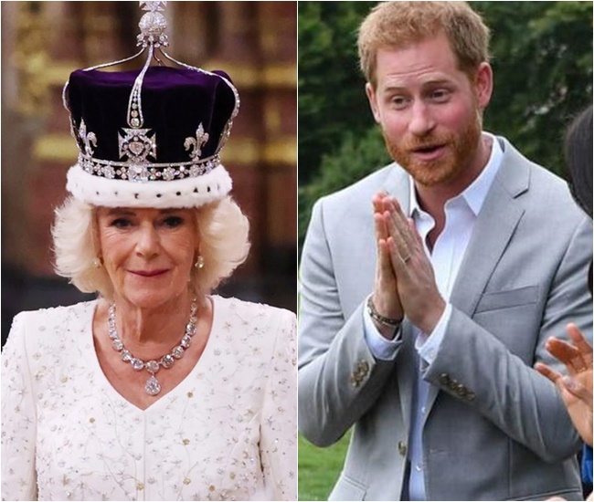 Breaking News: Prince Harry joyfully announced the DNA test results, revealing that he is the biological son of Queen Camilla: a shocking truth that has rocked England.