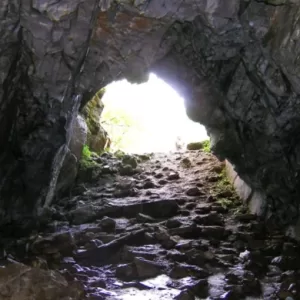 For 25 years, a man has been living alone in a cave with his dog. Take a look inside the cave now!