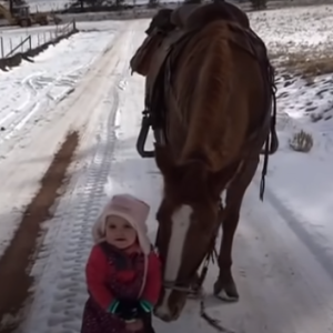 Little Girl Walking Horse Gets Stuck In Snow, Horse’s Reaction Makes Video Go Viral