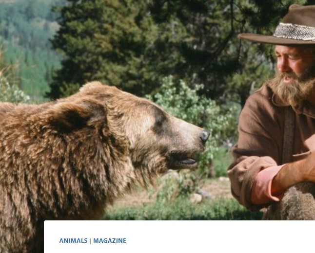 Dan Haggerty: A Tribute to the Gentle Mountain Man