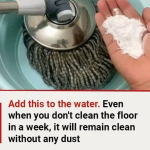 Add this to the water. Even when you don’t clean the floor in a week, it will remain clean without any dust