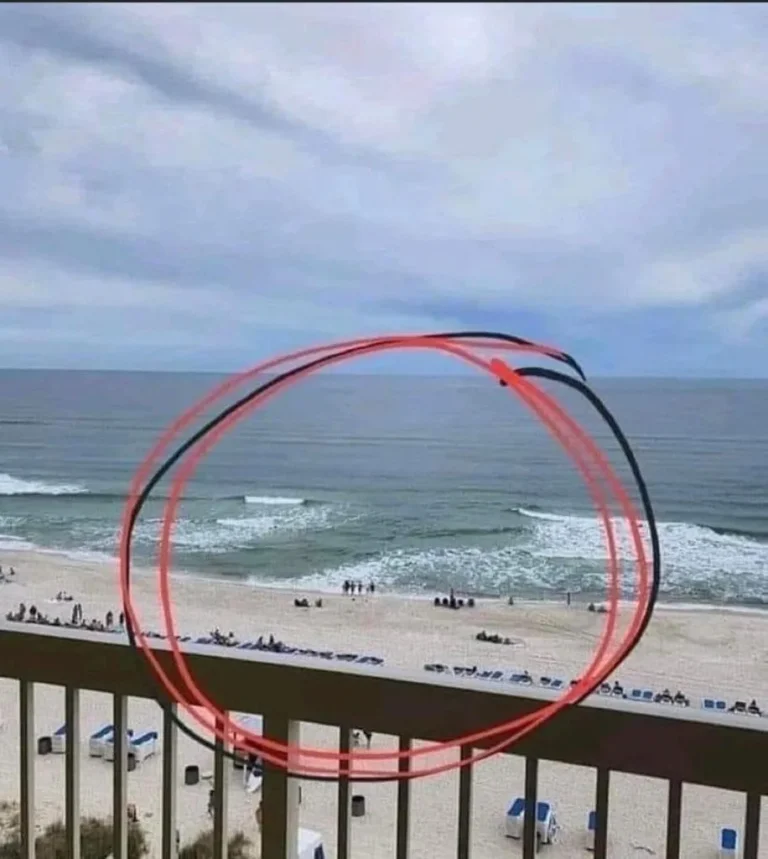 When you go to the beach and see a spot with no waves, don’t come closer