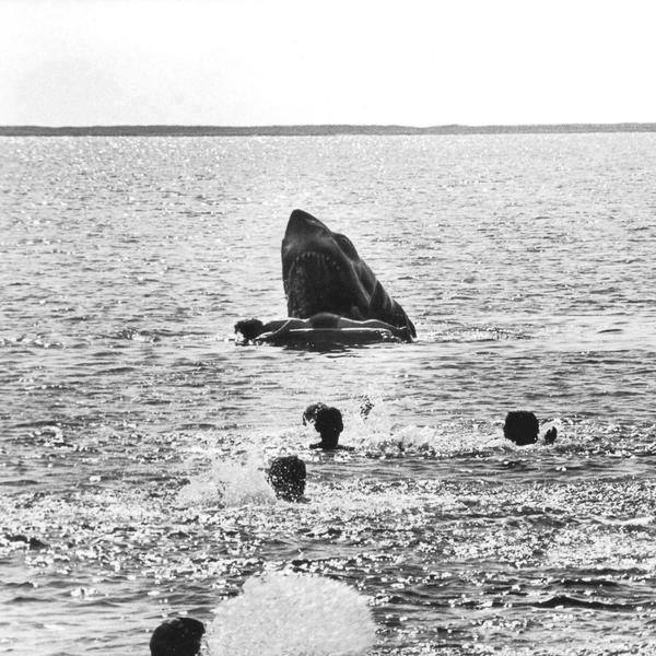 Deleted Jaws scene: The shark attack you never saw