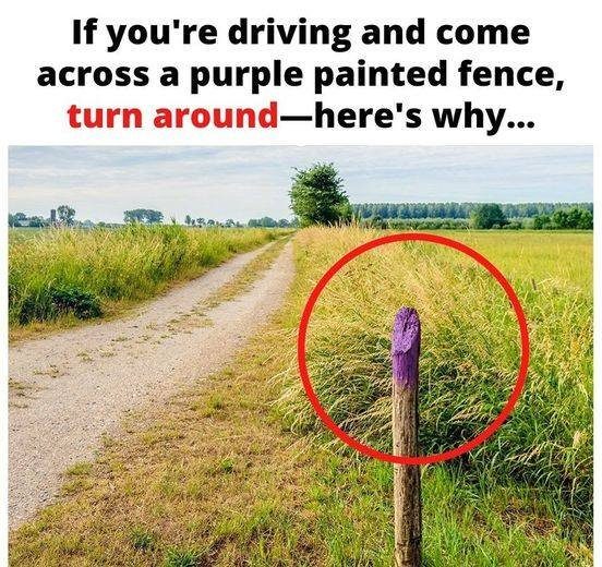 If You See A Fence Painted Purple, You Better Know What It Means – Knowing This Can Save Your Life