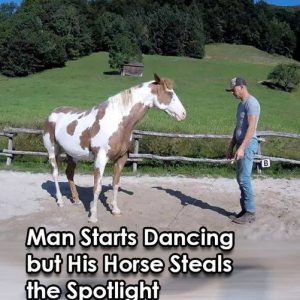 (VIDEO)Man Begins Dancing, but His Horse Takes Center Stage