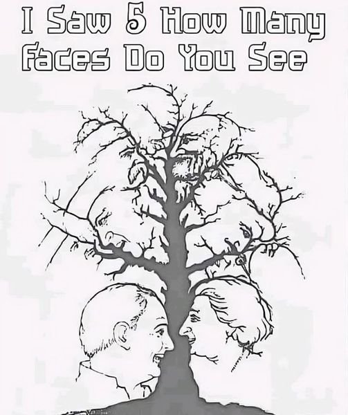 In the event that you track down every one of the secret countenances in this optical deception in under 10 seconds, you’re in the top 1%