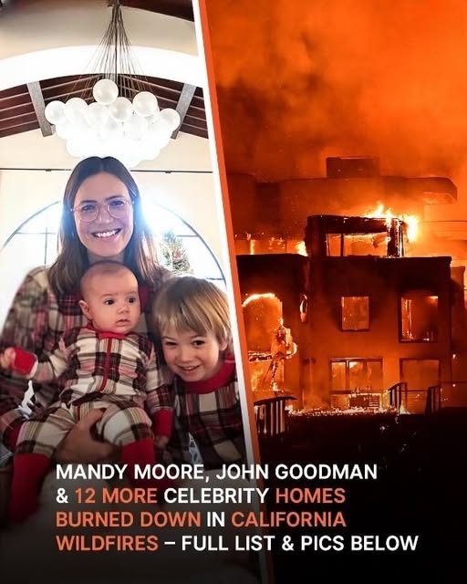 Hollywood Stars Share Heartbreaking Losses Amid LA Wildfires