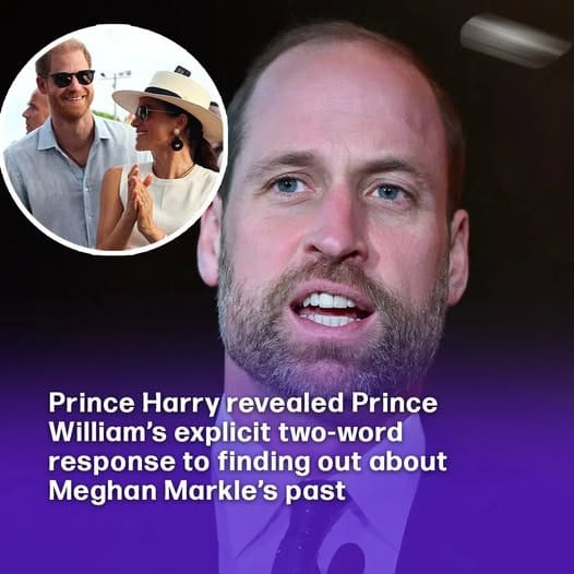 Prince Harry revealed Prince William’s explicit two-word response to finding out about Meghan Markle’s past