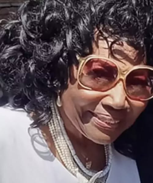 Blues Brothers actress Dalyce Curry dies in LA wildfires