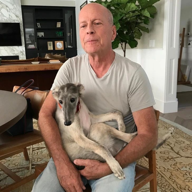 Bruce Willis’s Wife Shares Heartbreaking Update: ‘He’s Stopped Reading and Barely Speaks’