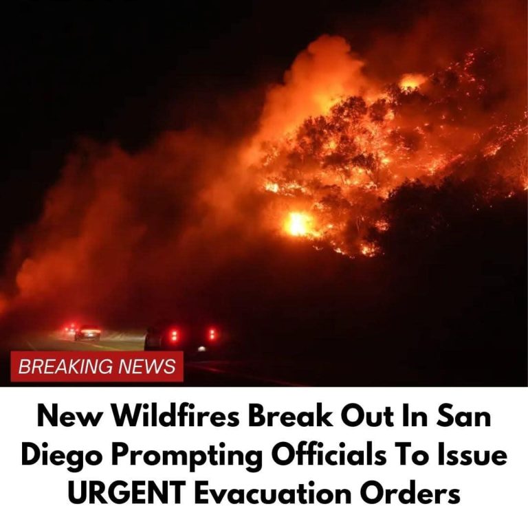 New wildfires break out in San Diego prompting officials to issue urgent evacuation orders