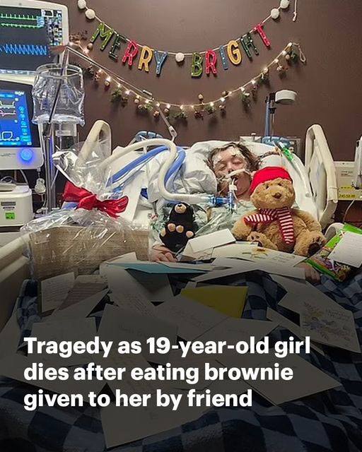 College student has fatal reaction to brownie she got from friend