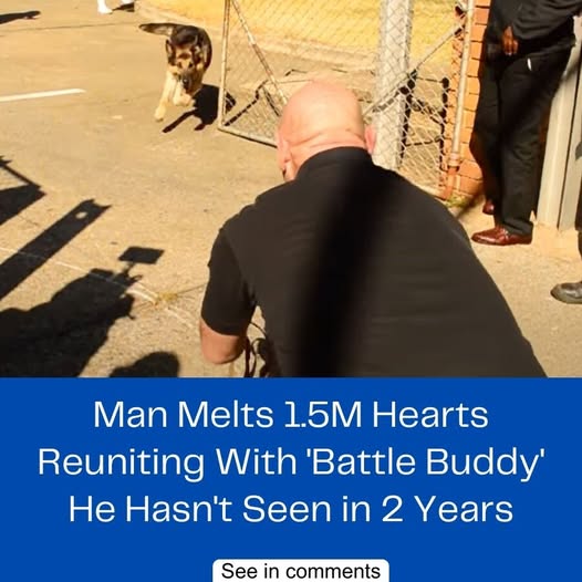 Man reunites with battle buddy he hasn’t seen in two years