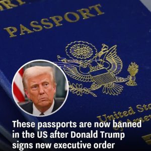 Trump’s Executive Order Eliminates Non-Binary Passport Option