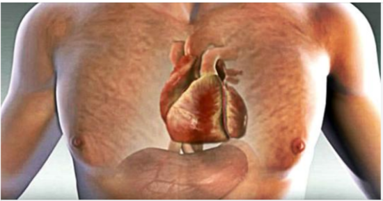 One Month Before A Heart Attack, Your Body Will Warn You Of These 6 Signs