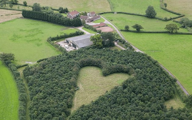 Farmer Plants 1,000 Oak Trees to Create Memorial for Late Wife