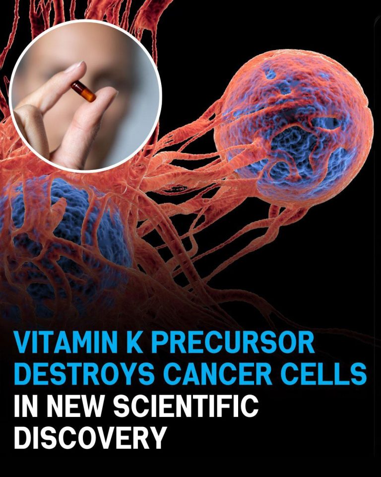 Vitamin K Precursor Found to Target and Destroy Cancer Cells in Latest Research