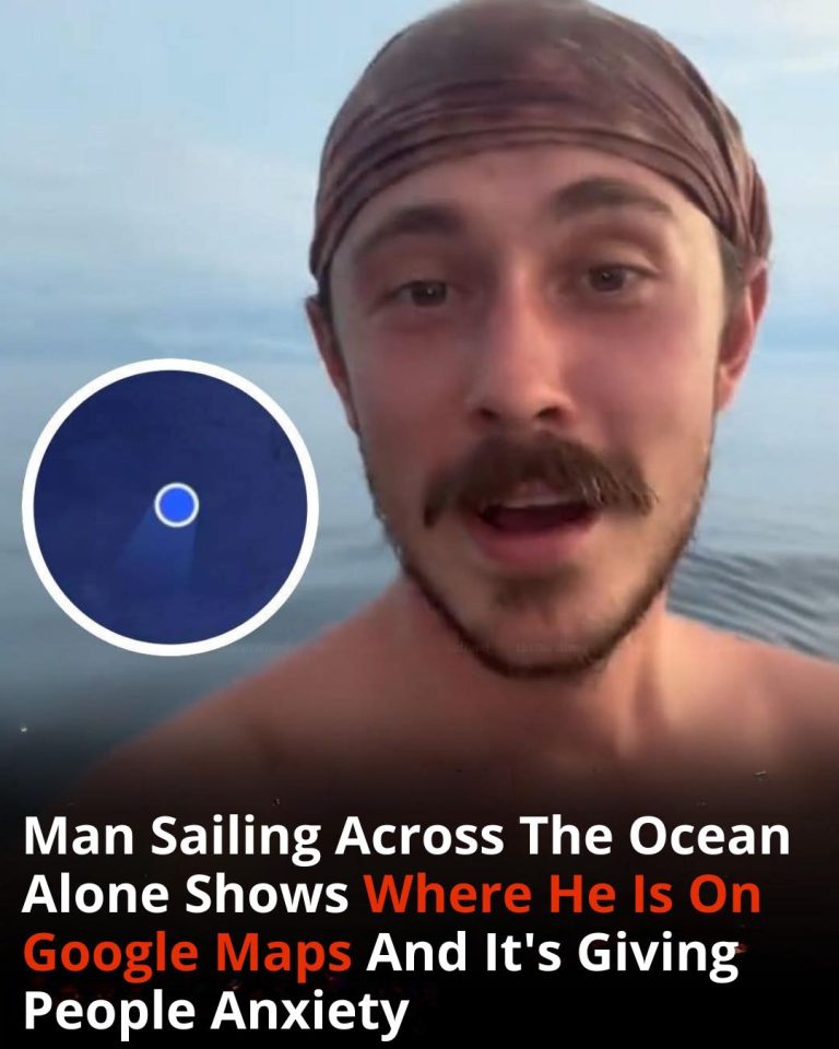 A Solo Sailor’s Live Google Maps Location Is Sparking Anxiety Among Viewers