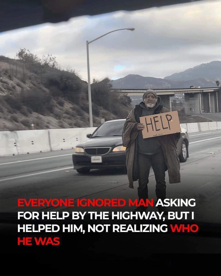 No one came to assist the elderly man stranded by the highway, and it took me some time to grasp the reason