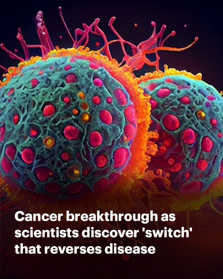 Cancer breakthrough as scientists discover ‘switch’ that reverses disease