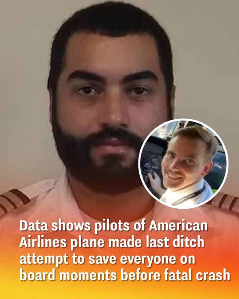 Data Indicates That The Pilots Of The American Airlines Plane Tried One Last Time To Save Everyone Just Before The Deadly Crash