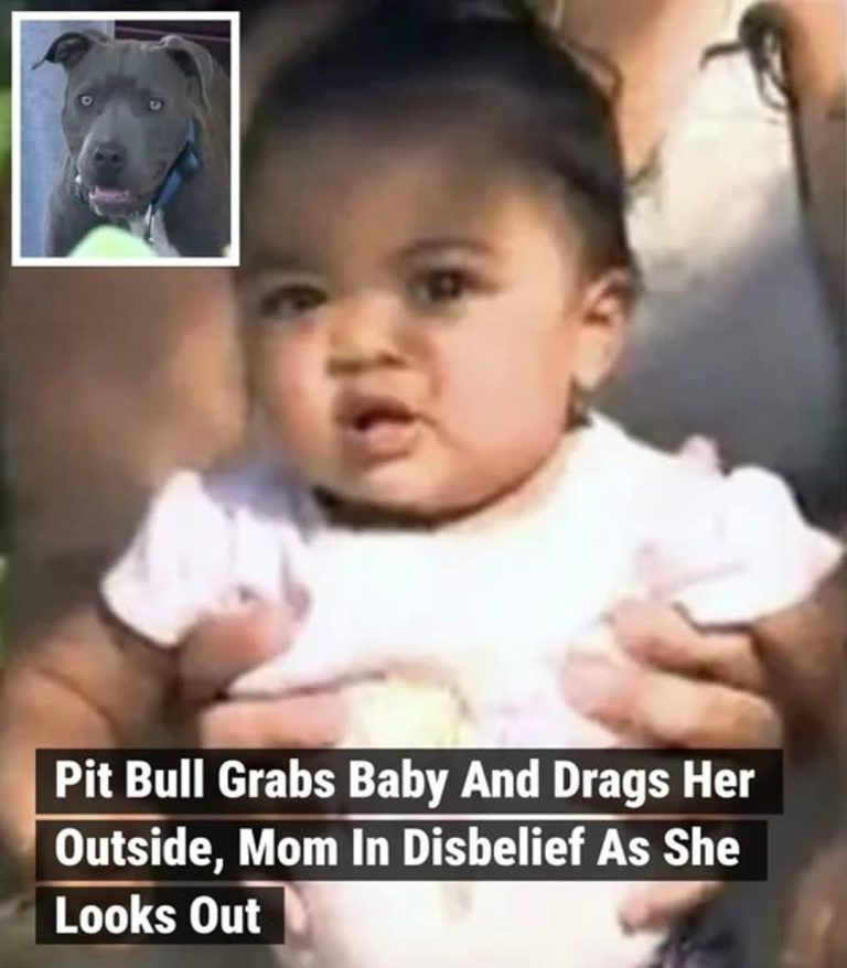 This mother woke up to her dog going nuts in the backyard, so she walked through the kitchen and let the dog in the house