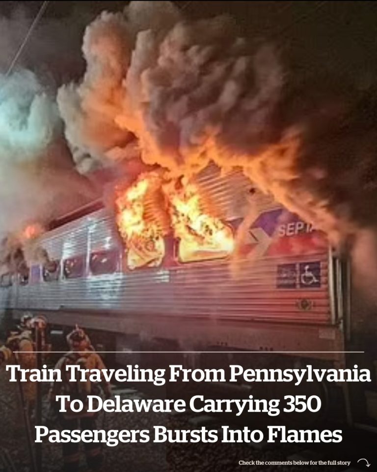 Train traveling from Pennsylvania to Delaware carrying 350 passengers bursts into flames