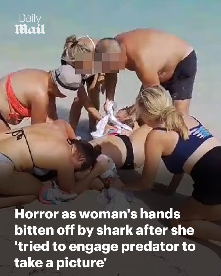 Horror as female tourist’s hands are bitten off by shark yards from Caribbean beach after she ‘tried to engage the 6ft predator to take a picture’