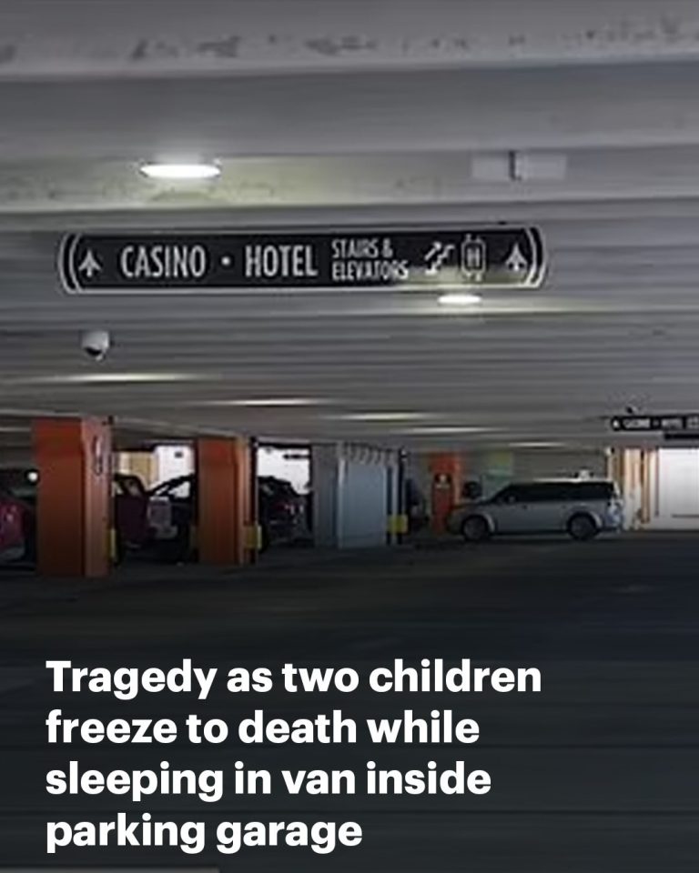 Tragedy as two children ages two and nine freeze to death while sleeping in van during 12F temperatures after mom’s desperate plea was rejected