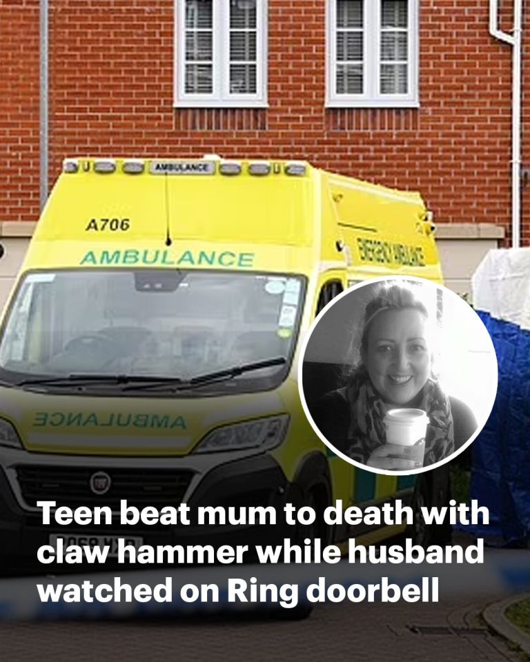 EXCLUSIVE Revealed: Son who beat his mother to death with a claw hammer while husband watched on Ring doorbell was released from psychiatric hospital DAYS earlier