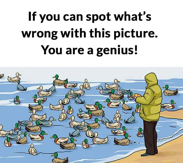 “Can You Notice What Is Happening In This Picture That Most People Are Missing?”