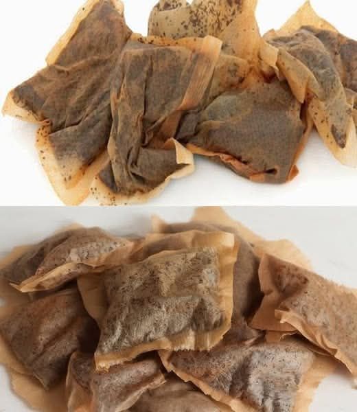 Teabags: 7 household remedies that show why you should never throw away a used teabag again