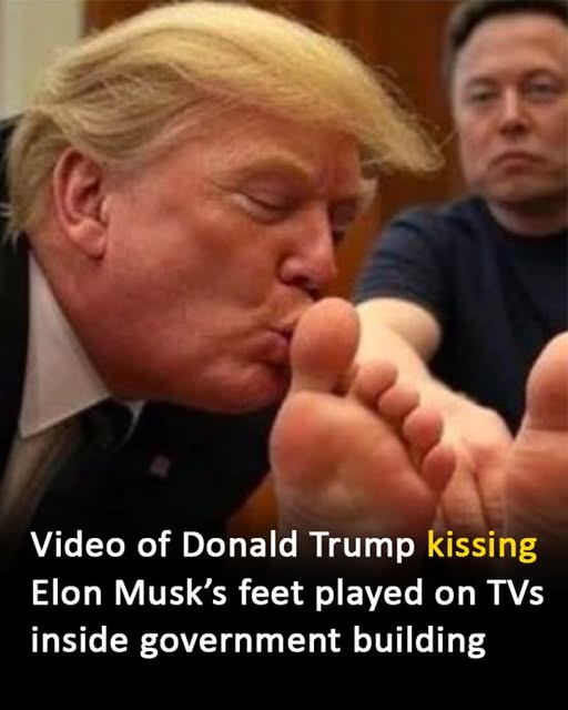 AI video of Trump kissing Musk’s feet plays inside HUD building