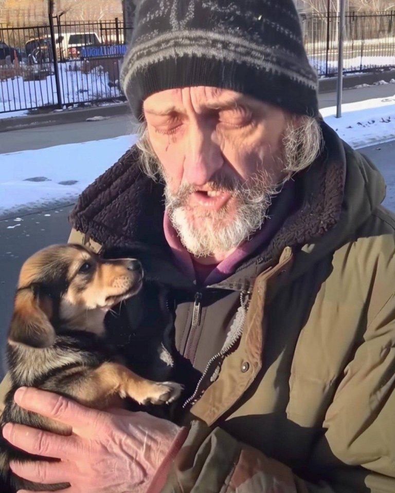 Homeless Man Asked Me to Take His Dog – A Month Later, I Received a Mysterious Letter