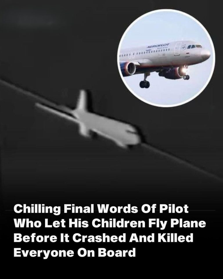 The Pilot’s Haunting Last Words Before The Plane Crashed And Killed Everyone On Board After He Let His Children Fly