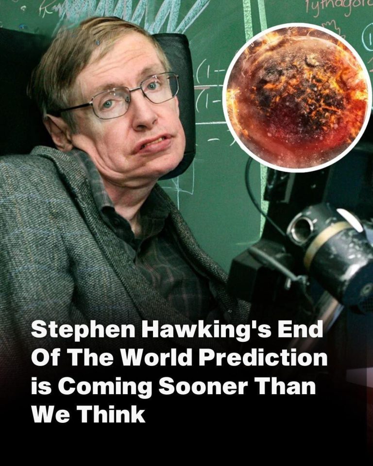 Stephen Hawking Predicts the End of the World Is Nearer Than We Think