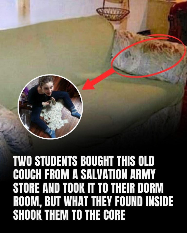 Students Bought This Old Couch From A Market And Took It To Their Dorm Room