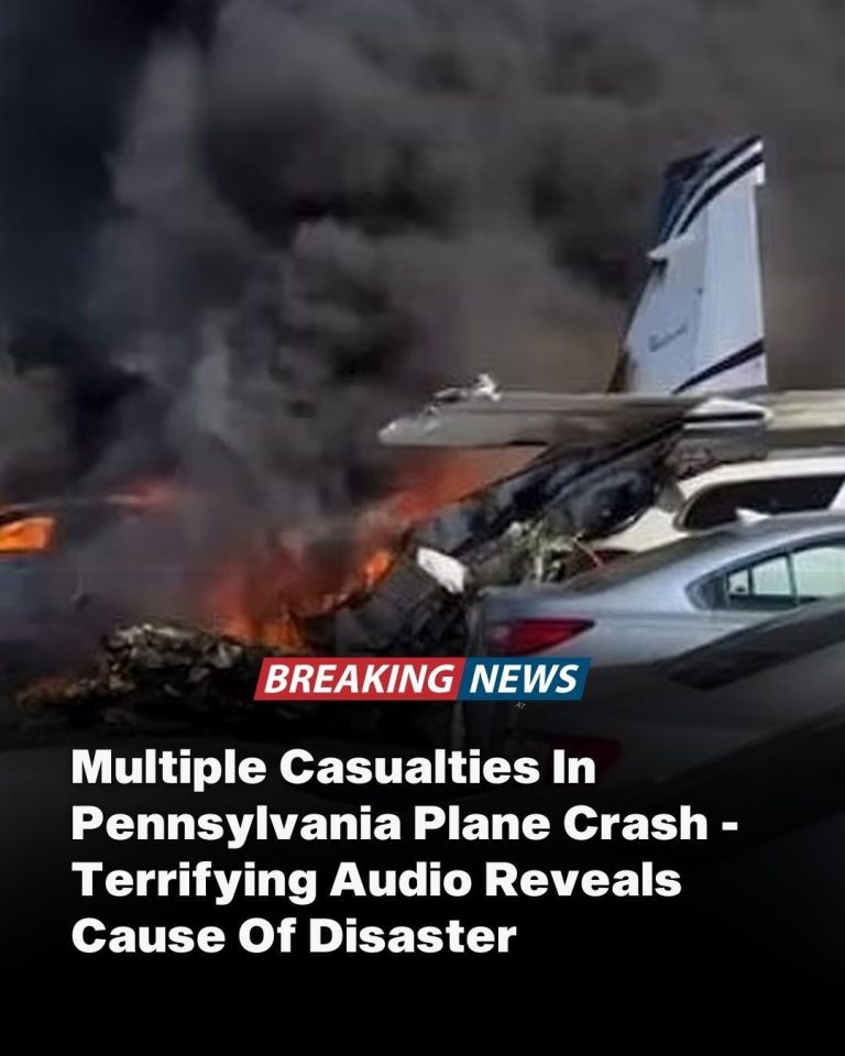 An Airplane Crashes In A Pennsylvanian Suburb With Multiple Casualties