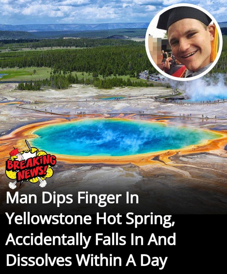 Man Dips Finger In Yellowstone Hot Spring, Accidentally Falls In And Dissolves Within A Day