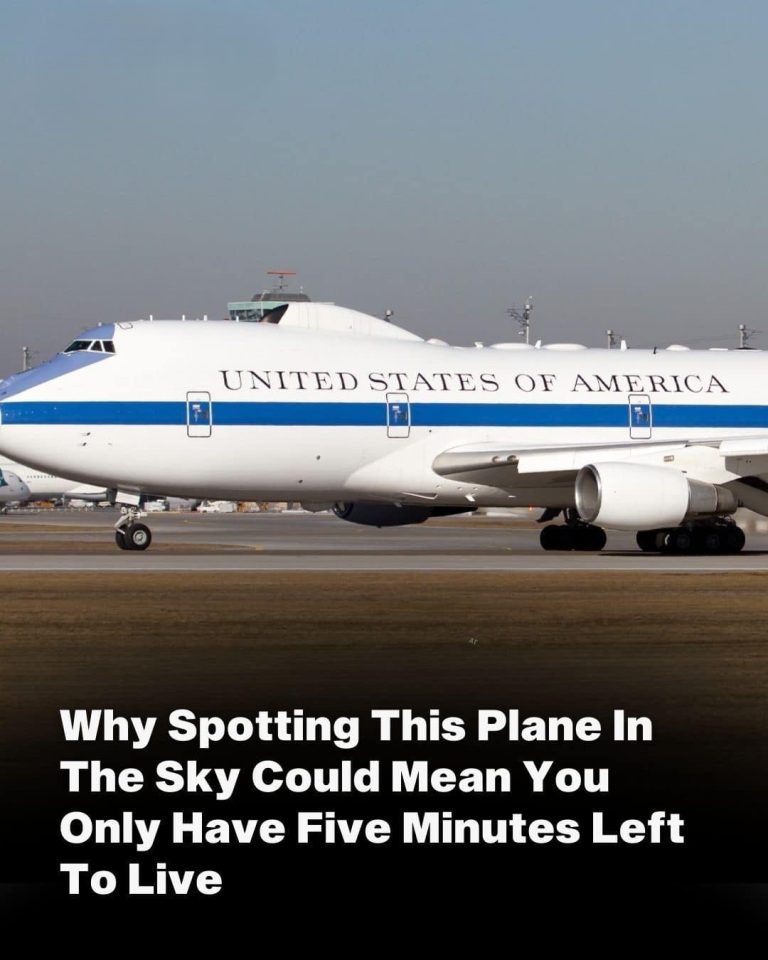 Why You Might Only Have Five Minutes To Live If You See This Plane In The Sky