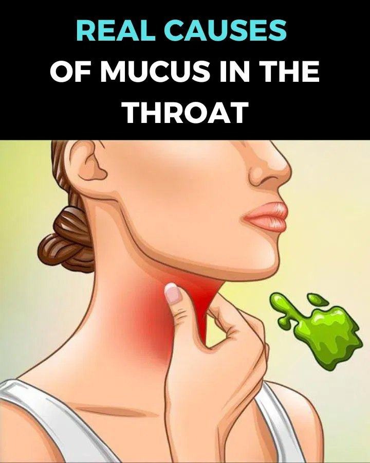 The Real Causes of Constant Phlegm and Mucus in Throat and How to Get Rid of It