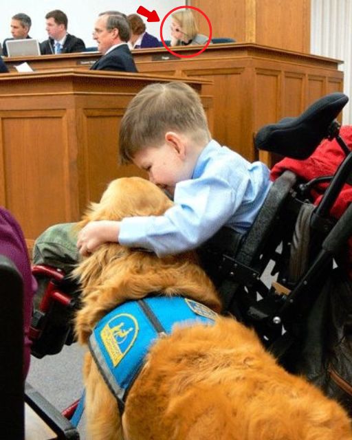 I Brought My Son and His Service Dog to a City Meeting and Changed Everything Unintentionally.