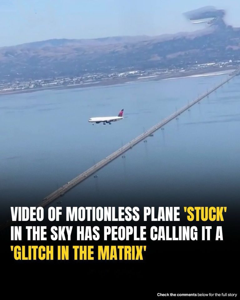Viral Video Shows Plane ‘Frozen’ Mid-Air, Ignites ‘Glitch In The Matrix’ Theories