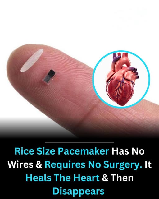 The Development of the World’s Smallest Pacemaker